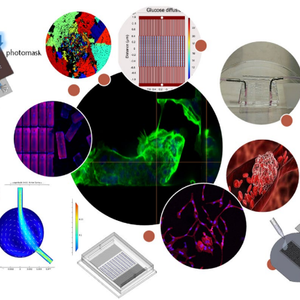 Lab on a Chip Microdevices